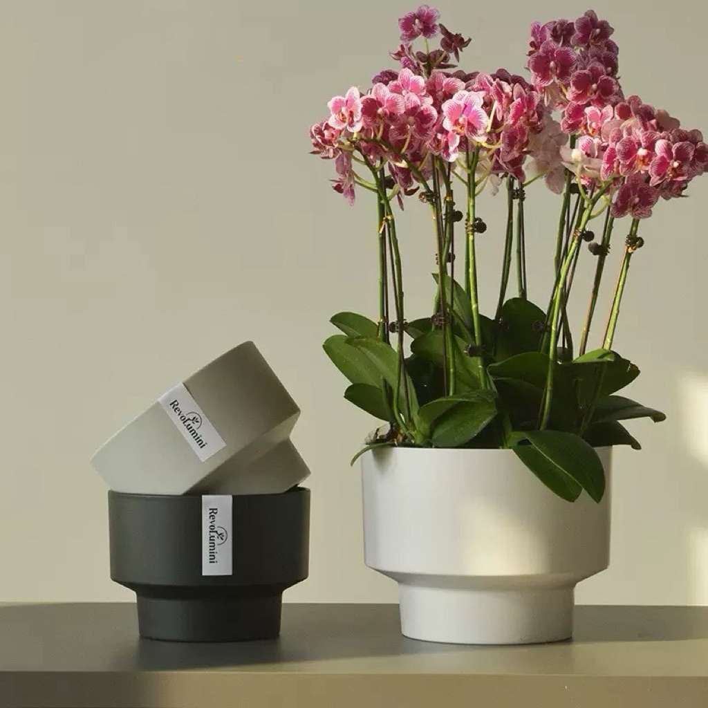 M系列樹脂盆 樹脂盆 花盆 盆栽 塑膠盆 蘭花盆 多肉 園藝 花藝 虎尾蘭